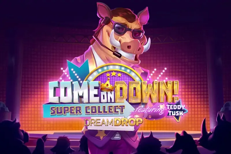 Come on Down - BRRBET